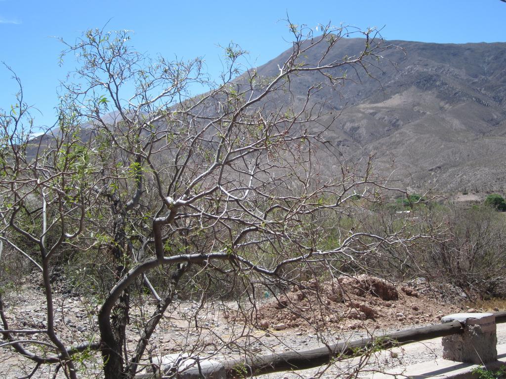 هواكاليرا Posada Campo Morado المظهر الخارجي الصورة